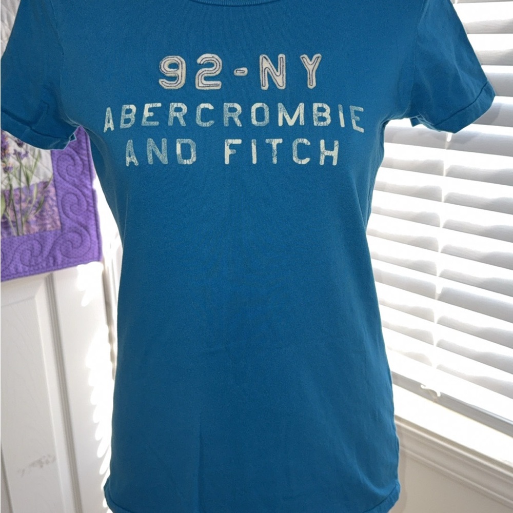 Abercrombie & Fitch Blue Graphic Tee